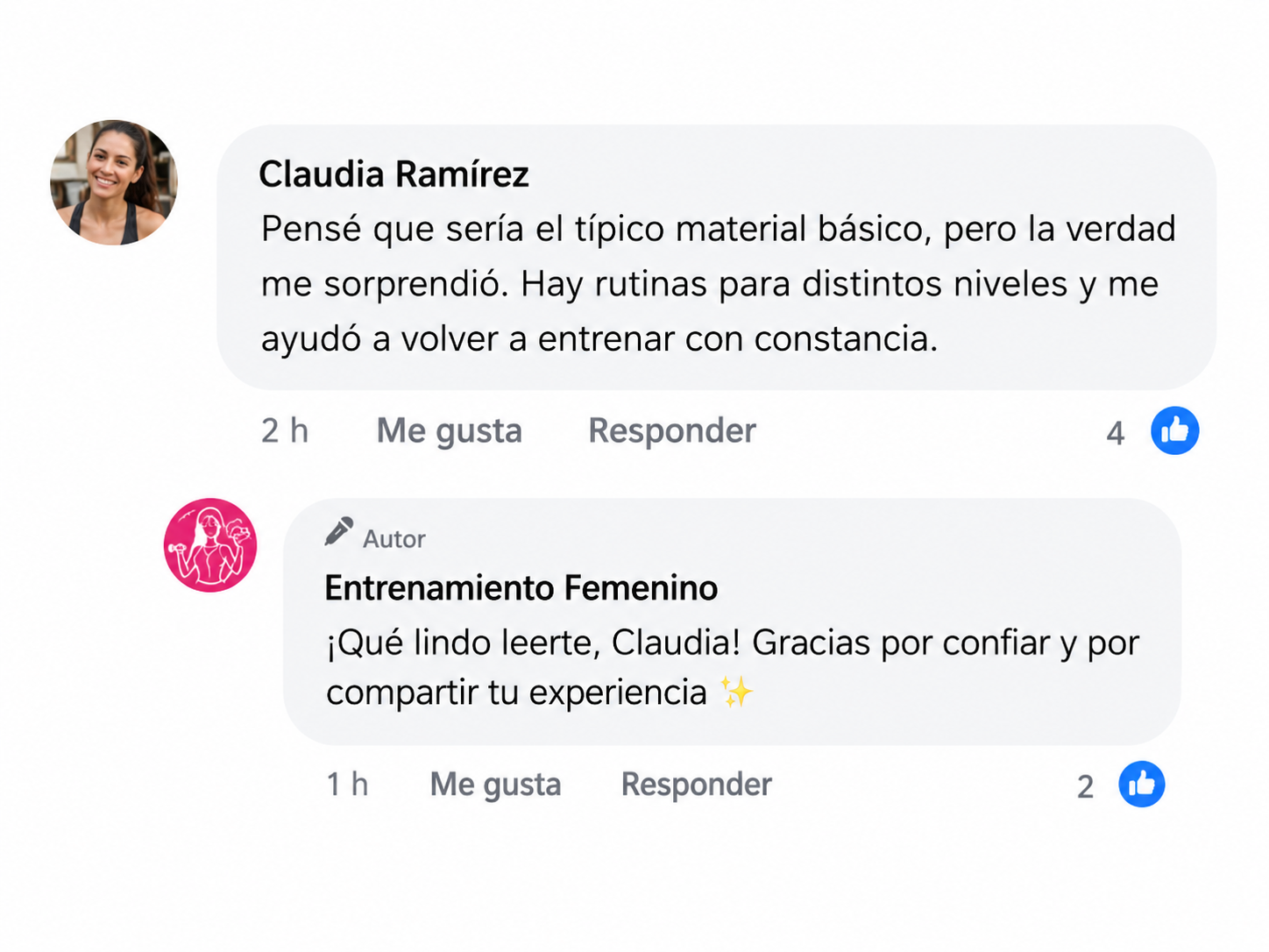 Comentario visual de Claudia sobre el material